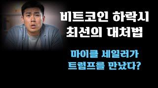 비트코인 하락시 최선의 대처법! 마이클 세일러가 트럼프를 만났다?