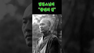 중년에게 전하는 법정스님의 한마디 #법정스님 #중년의삶 #명언 #중년명언 #인생조언 #마음공부 #좋은말씀