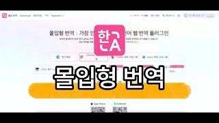 Safari 버전 | 브라우저용 몰입형 번역 프로그램 설치하기!