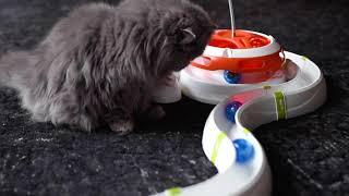 CAT TOYS: How to entertain your cat with Ferplast games