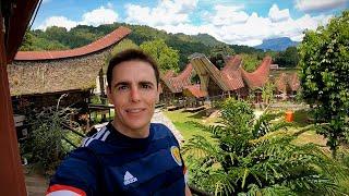 $60 Village Homestay in Toraja, Indonesia 