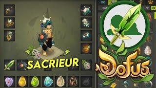 SACRIEUR AIR STUFF PARFAIT SUR DOFUS