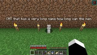 Name Tag length, how long can a name be on a name tag? - Minecraft 1.21