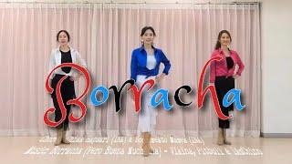 Borracha l Vikina-Pitbull l High Improver Line Dance l 보라차 라인댄스 l Linedance l 라인댄스퀸