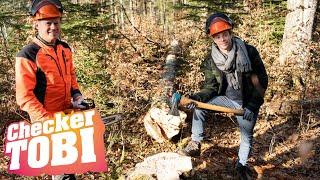 Der Holz-Check | Reportage für Kinder | Checker Tobi