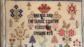 Brenda and the Serial Starter - Episode ?