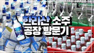 소주 만드는 과정 공개 '충격' 공장 르포(feat. 한라산 소주)' (HALLASAN SOJU FACTORY 烧酒厂) [리얼핫템픽]