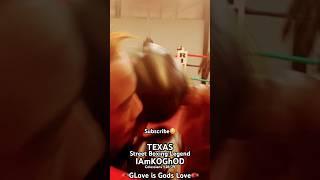 Davo Vs IAmKOGhOD no headgear Sparring is Therapy Challenge #boxing #GlovesUpGunsDown