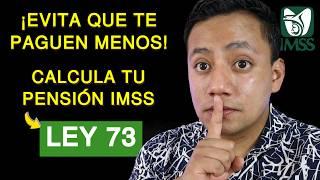 Así Calcula el IMSS tu Pensión por Ley 73: Guía Paso a Paso | Bonus: Modalidad 40