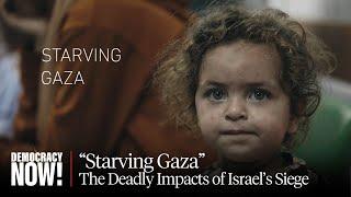 "Starving Gaza": Al Jazeera Film Shows U.S. Keeps Arming Israel as It Uses Hunger as a Weapon of War