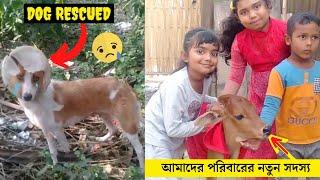 কুকুরটিকে কিভাবে বাঁচালাম ?! আমাদের বাড়ির নতুন অতিথি  |  Fahima Khan Vlogs