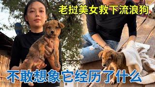 老挝美女从垃圾桶救下满身是伤的流浪狗，看到食物就狼吞虎咽，不敢想象它之前经历了什么【阿龙游四方】