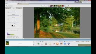 Picasa Basics Webinar