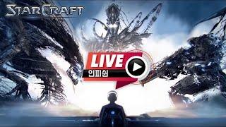 24.10.31(목) 2부 【 인피쉰 생방송 다시보기 】 스타 빨무 스타크래프트 Starcraft