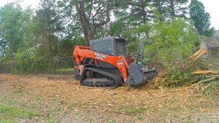 Forestry Mulching BIG trees with the Kubota SVL 75-3