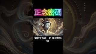 正念密碼：如何在紅塵中覺醒？原來這就是修行的高境界！ #開悟 #覺醒