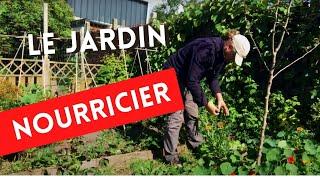 Ma stratégie pour le jardin nourricier à l'année