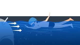 Endless Pools® Fitness Systems and Swim Spas