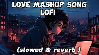 lofi Slowed Reverb Song | #slowedandreverb | Song #skfacts