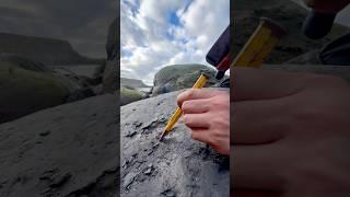 Exposing a perfect Jurassic Belemnite (Squid-like creature) which was in a large loose shale slab 