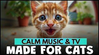 🟥 Cat Music [WORKS GREAT]  Tranquil Music Playlist For Cats [OUR BEST YET]