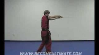 Ultimate Training™: Sword - Preview
