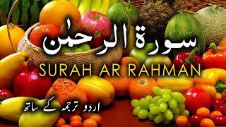 Surah Rahman Tarjuma Ke Sath | Surah Rehman with Urdu Translation | Surah Rahman Tilawat