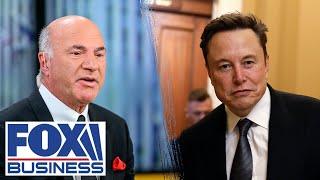 'CLARITY': Kevin O'Leary 'can't believe' this one aspect of DOGE