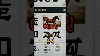 6월24일 말띠운세#일일운세 #띠별운세 #풍수운세 #funnyshorts