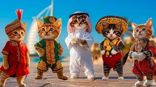 Kittens from different countries dance