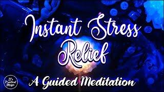 Instant Stress Relief | A Guided Meditation #meditation #asmr #sleep