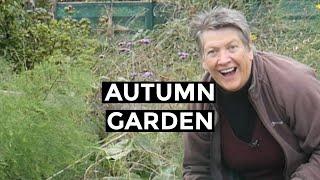 Autumn Raspberries and Harvesting Squash | Garden Vlog