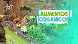 Conheça os benefícios dos alimentos orgânicos