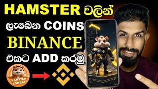 Hamster Kombat Airdrop Withdrawal | How to Withdraw Hmstr Coins To Binance |Hamster Withdraw sinhala