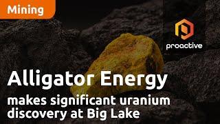 Alligator Energy makes significant uranium discovery at Big Lake