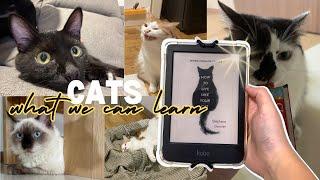 Self-Care Tips From Cats | Reflections After Reading "How to Live Like Your Cat" by Stéphane Garnier