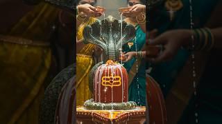New Bhakti Status #mahadev #mahakal #shiv #shiva #shorts #viral #trending #song #reels