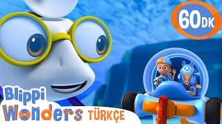 Köpekbalığı Dişi | Blippi Türkçe - Çocuklar için Eğitici Videolar