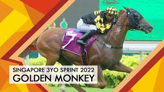 Singapore 3YO Sprint 2022 (Golden Monkey)