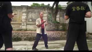 "Wing Chun" Documentary