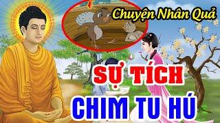 Chuyện Nhân Quả Báo Ứng Hay Nhất, Sự Tích Chim TU HÚ...Gieo Nhân Nào Gặt Quả Nấy | Nghe Để Tránh