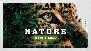 NATURE TO BE HAPPY  | KM MOVIE PRODUCTION | FILM BY PF GROUP