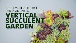 Make a Vertical Succulent Arrangement with the Grow Vert Planter