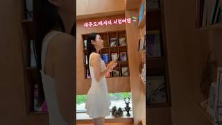 제주도 가면 꼭 들러봤으면 하는 독립서점 3 ️ #서점 #책 #제주도