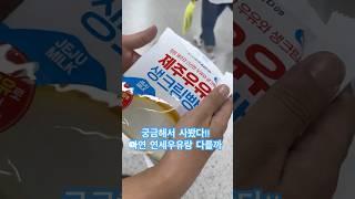 제주우유 생크림빵 연세우유랑 다를까..? 솔직후기