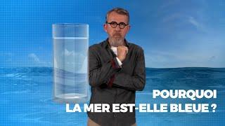 Pourquoi la mer est-elle bleue ? - #LaMinuteJamy