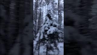 В твою любовь...