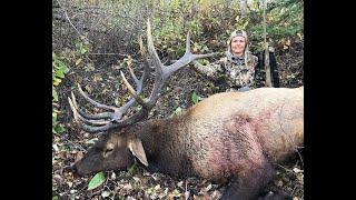 8 Year Journey for her VERY FIRST BULL ELK - Heavy 6X6