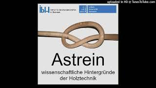 05 Heute ist der Wurm drin - Holzzerstorende Insekten