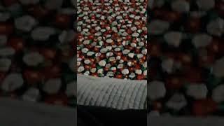 #bbs대구불교방송